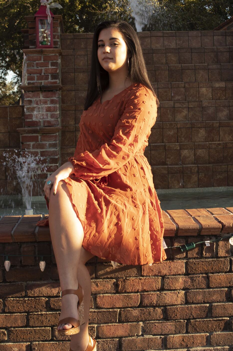 Brown color palette photo set