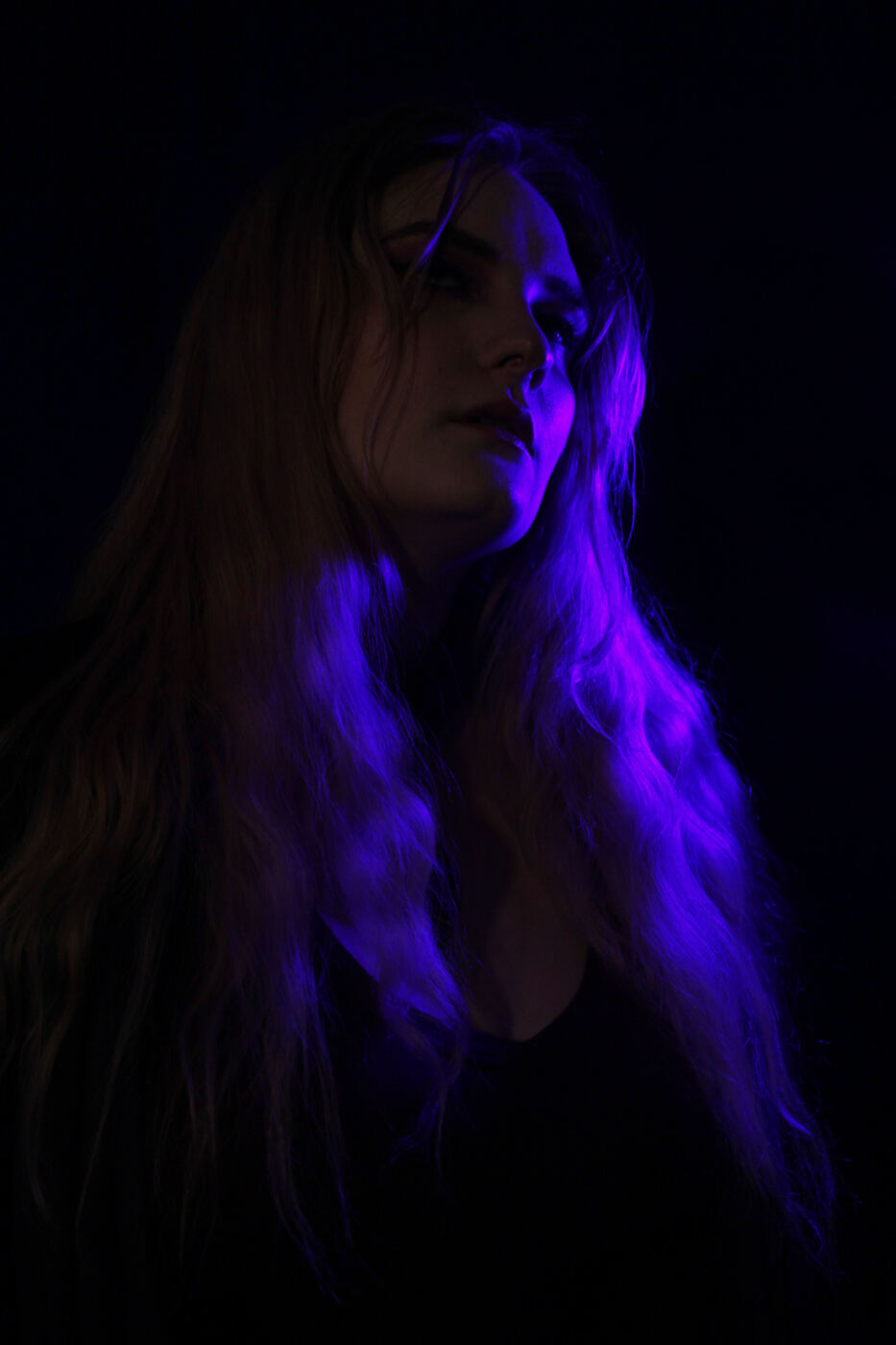 Purple color palette photo set