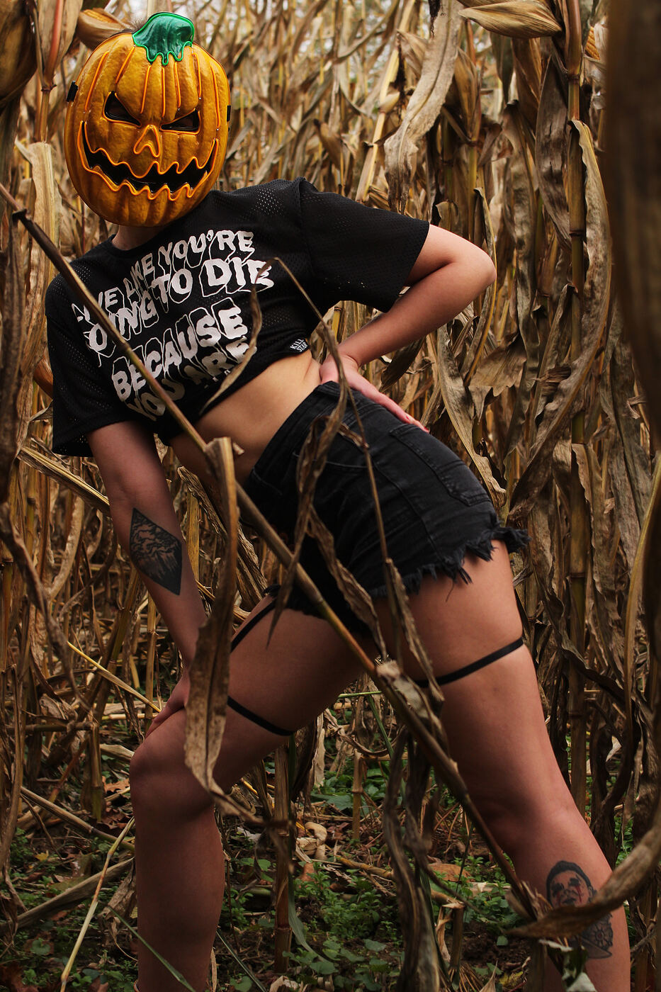 Scarecrow boudoir photo set